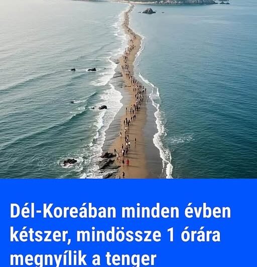 Dél-Koreában minden évben kétszer, mindössze 1 órára megnyílik a tenger