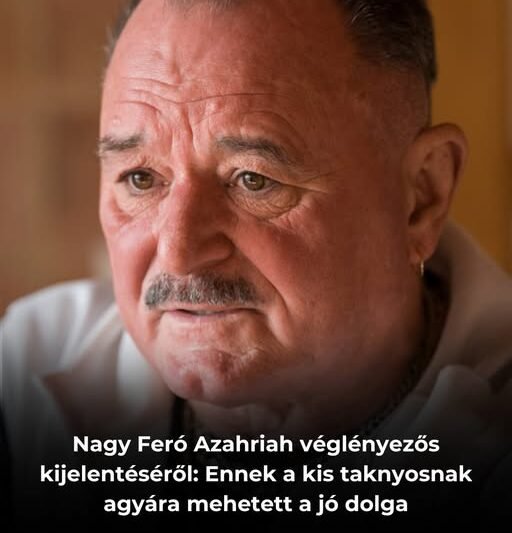 Nagy Feró Azahriah véglényezős kijelentéséről: Ennek a kis taknyosnak agyára mehetett a jó dolga