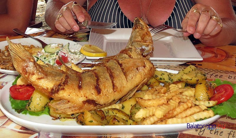 46.000 forintot kellett fizetnem a Balaton a hekkért, amikor megkérdeztem mégis mi került ennyibe, EZT a választ kaptam: