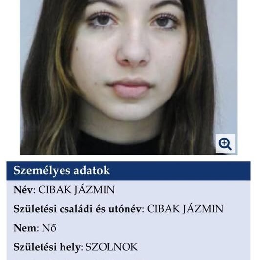 A kishúgom tegnap elindult haza, és azóta sem ért ide. Nem lehet elérni, senki nem tud róla semmit