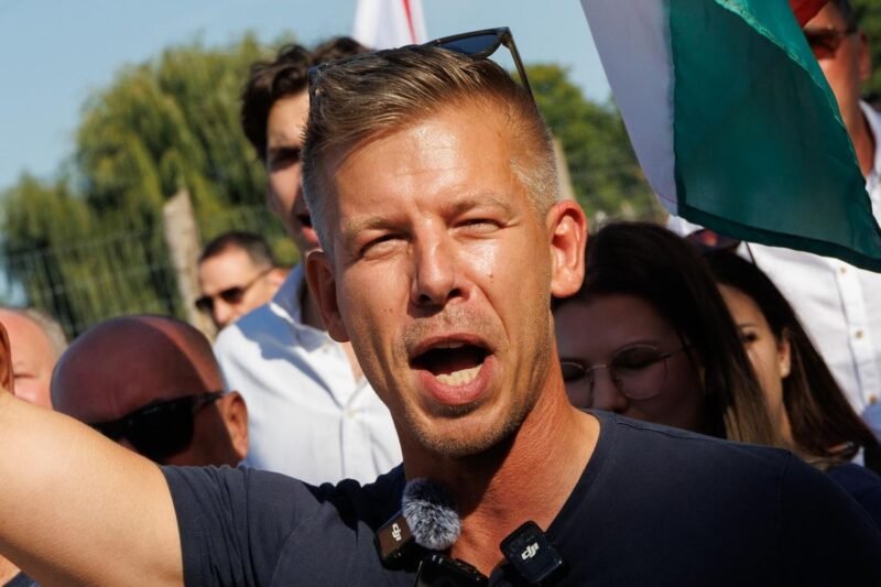 Magyar Péter 30 perce tette ki EZT Orbán Viktorról és Mészáros Lőrincről… de 20 ezer ember kedvelte… és 10 ezer komment jött 👇 👇