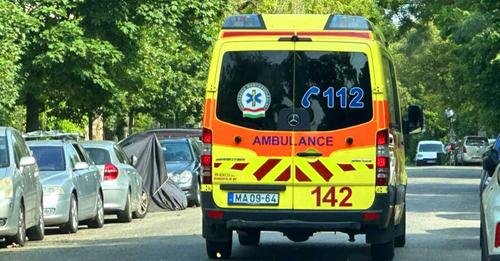 A halál árnyékában Tápiószelén: negyvenezer darázs törte át a hálószoba plafonját!