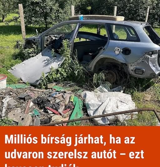 Milliós bírság járhat, ha az udvaron szerelsz autót – ezt kevesen tudják
