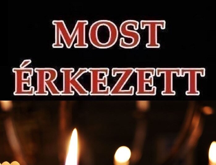 Szívszorító üzenet: Édesanya két gyermekét vesztette le a Verőcei hajóbalesetben! Ezt üzente a motorcsónak vezetőjének:
