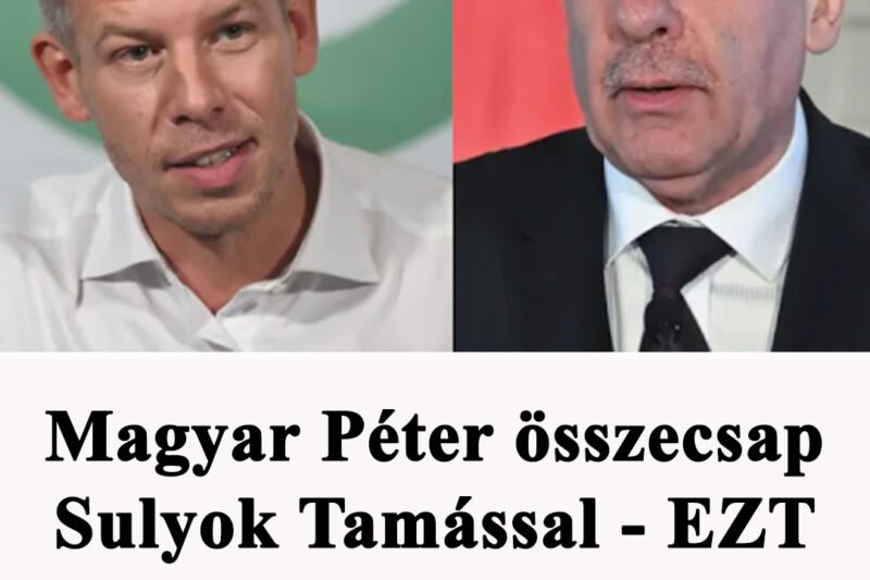 Magyar Péter összecsap Sulyok Tamással – EZT üzente a Tisza párt elnöke