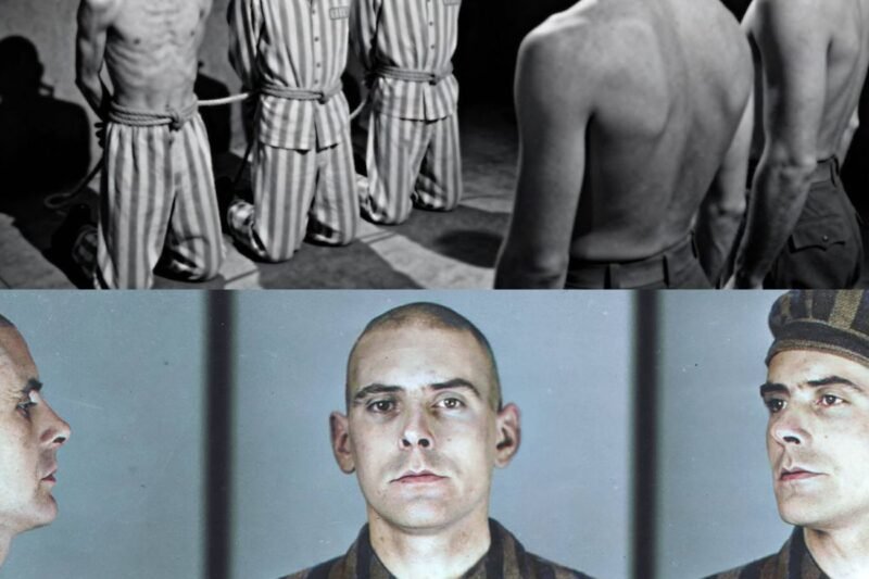 Homos3xual foglyok becenevén ‘öröm fiúk’ várt a végrehajtás, de a németek…