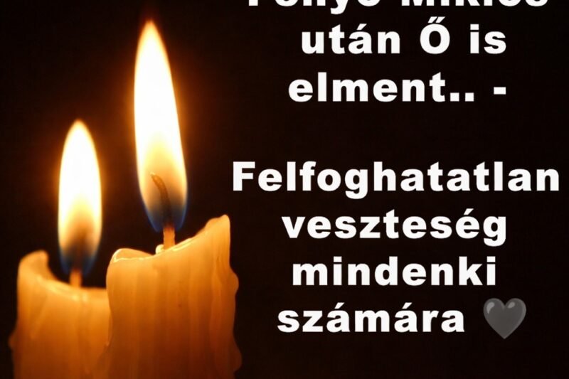 A szívével és a tüdejével is gond volt: meghalt az énekes, akit rengetegen szerettek