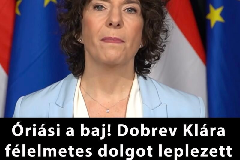 Óriási a baj ! Dobrev Klára félelmetes dolgot leplezett le a Fidesz kampányában (videóval)