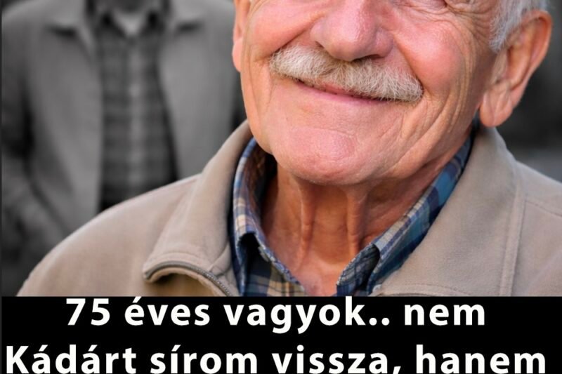 56 éves vagyok.. nem Kádárt sírom vissza, hanem azt a jólétet, ami akkor volt..Aki 50-60 éves, biztos, hogy egyetért ezzel az írással
