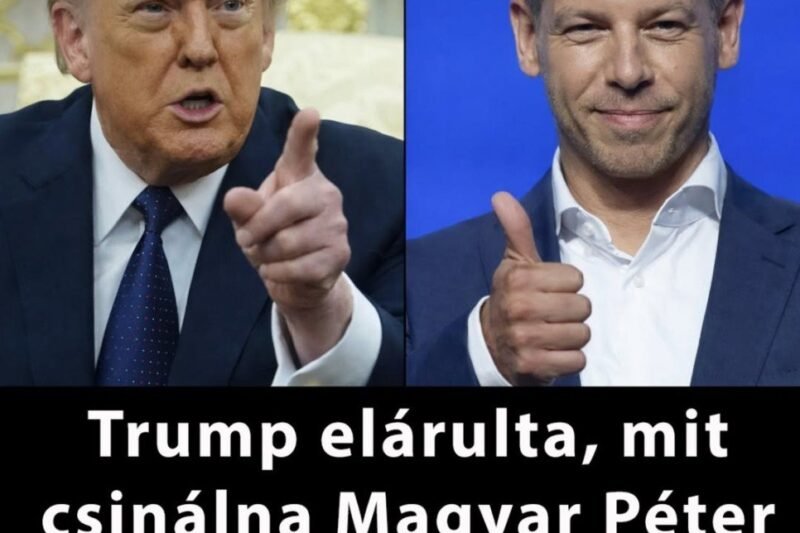 Trump megszólalt: ezt mondta egy esetleges magyarországi kormányváltásról