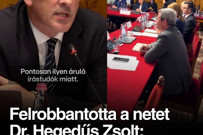 Felrobbantotta a netet Dr. Hegedűs Zsolt: brutálisan kiosztotta Takács Pétert
