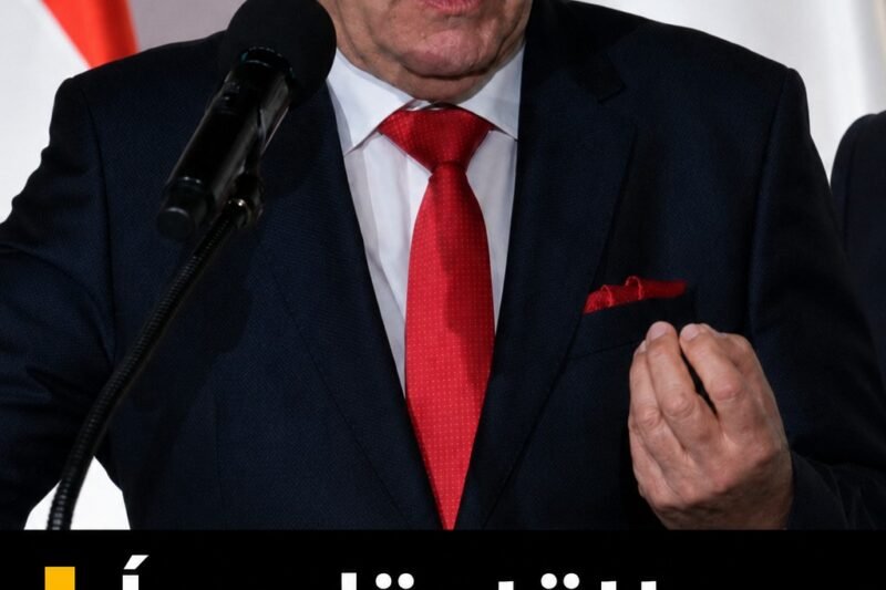 Így döntött Sulyok Tamás a távozásról