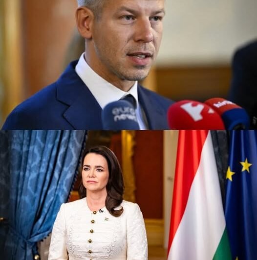 BREAKING!!! Magyar Péter megtette! Nyilvánosságra hozták a titkos dossziét! Elszabadult a pokol! – Lehullt a lepel a kegyelmi ügyről – Forrong az ország: