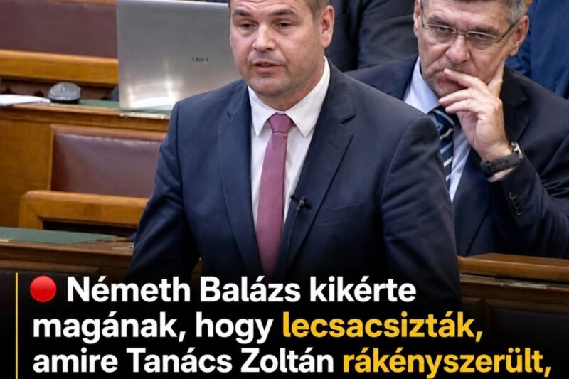 Németh Balázs kikérte magának, hogy lecsacsizták, amire Tanács Zoltán rákényszerült, hogy elmagyarázzon neki egy mesét a Micimackóból!