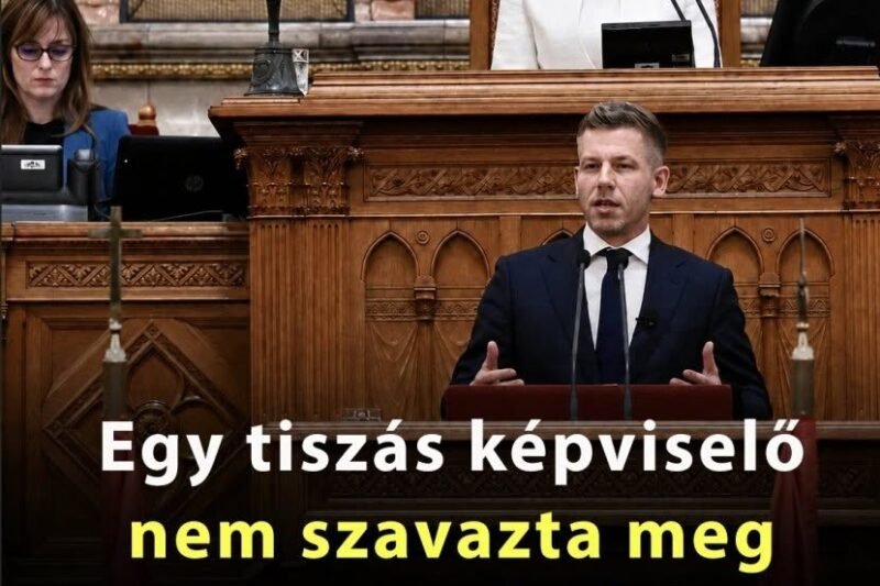 Egy tiszás képviselő nem szavazta meg miniszterelnöknek Magyar Pétert, megvan, ki volt