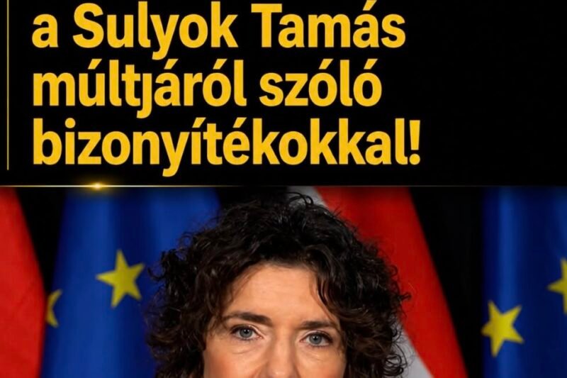 Dobrev Klára közzétette a bizonyítékokat Sulyok Tamás múltjáról