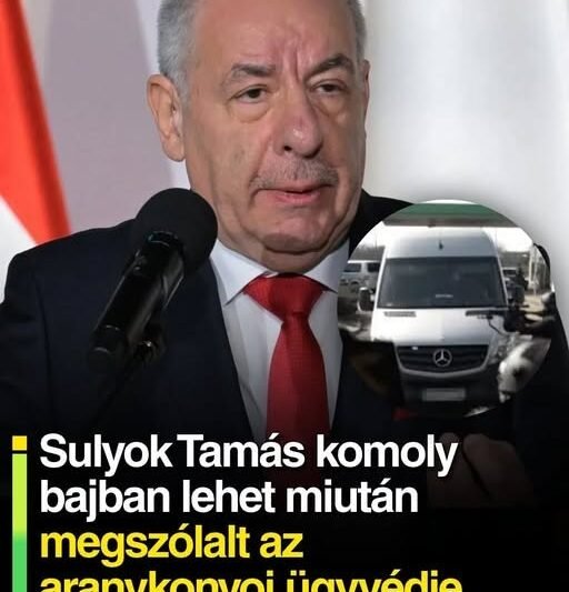 Sulyok Tamás komoly bajban lehet miután megszólalt az aranykonvoj ügyvédje
