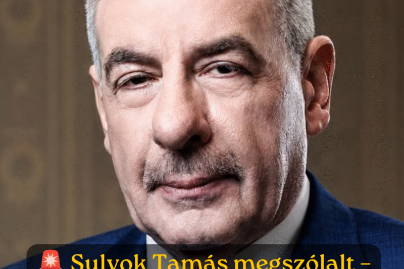 Sulyok Tamás harcolni fog a pozíciójáért: „Nem érdekel, mit mond Magyar Péter”