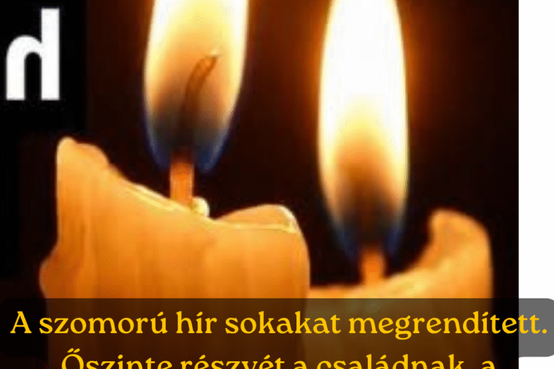 𝗩𝗮́𝗿𝗮𝘁𝗹𝗮𝗻𝘂𝗹 𝗲𝗹𝗵𝘂𝗻𝘆𝘁 a híres magyar színésznő! Cikk a hozzászólásoknál!👇👇