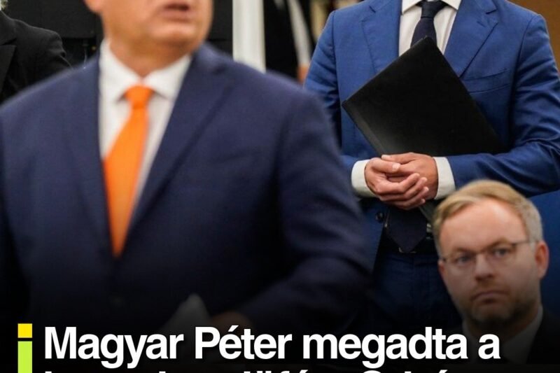 Most ülsz le: Mészáros Lőrinc vagyonáról kiderült, amire senki sem számított – Magyarmozaik.com
