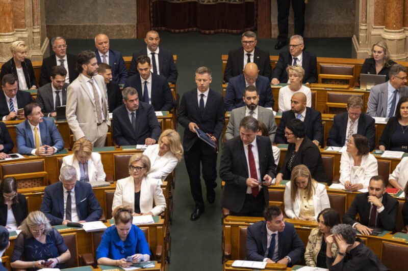 Magyar Péter: Sulyok Tamás július 20. körül már nem lesz államfő