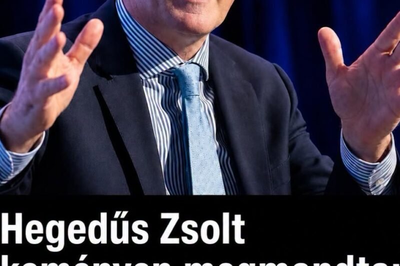 A covid-időszak ügyleteit ki fogják vizsgálni – Hegedűs Zsolt első nagyinterjújában a leszámolás menetrendjét is felvázolta – Egyszerurecept