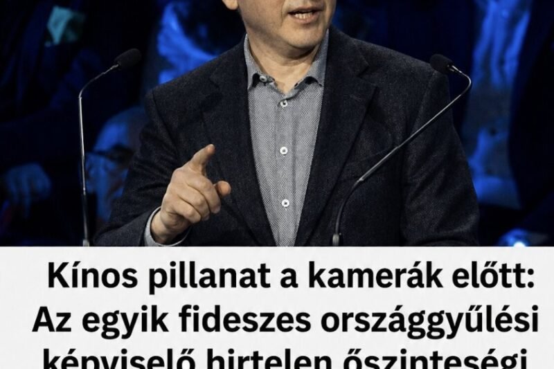 Kínos pillanat a kamerák előtt: Az egyik fideszes országgyűlési képviselő hirtelen őszinteségi rohamot kapott, kamerák előtt elszólta magát! – MindenegybenBlog