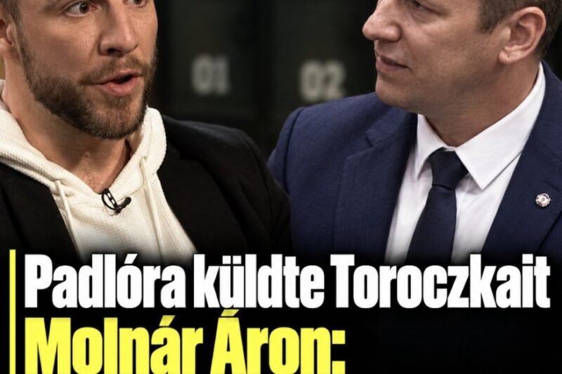 Padlóra küldte Toroczkait Molnár Áron:kegyetlenül visszanyalt a fagyi! – MindenegybenBlog
