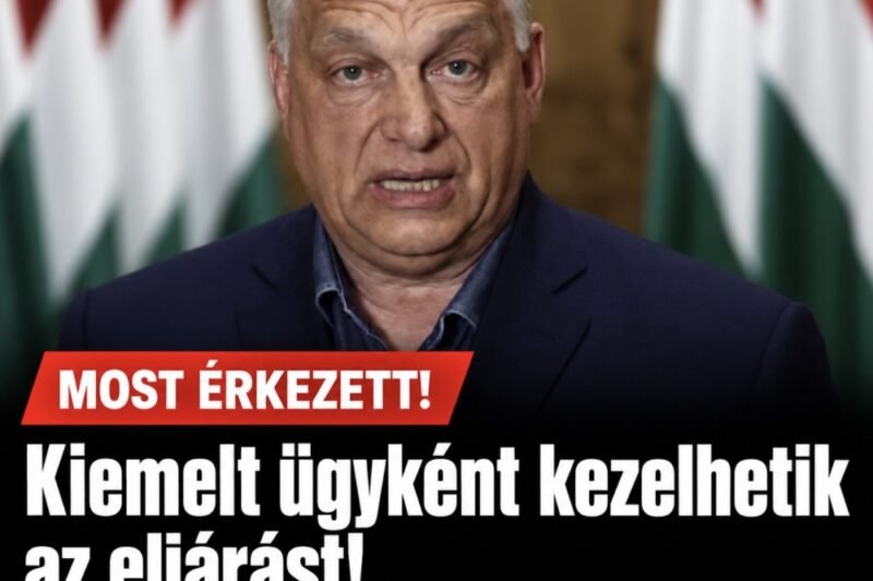 Kiemelt ügyként kezelhetik az eljárást!Feljelentették Orbán Viktort! – MindenegybenBlog