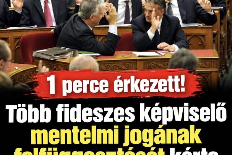 1 perce érkezett!Több fideszes képviselő mentelmi jogának felfüggesztését kérte a Központi Kerületi Bíróság! 👇 Cikk a hozzászólásoknál! – MindenegybenBlog