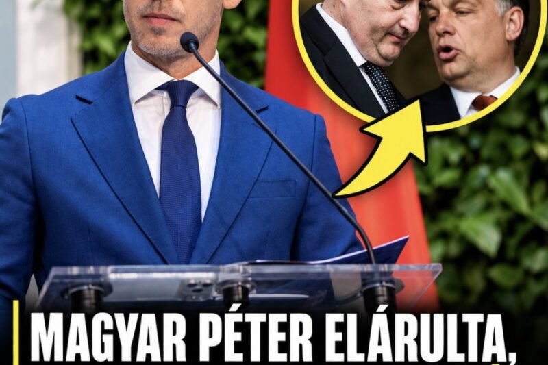 Magyar Péter elárulta, szerinte ebben hasonlít a Fidesz az olasz maffiához! – MindenegybenBlog