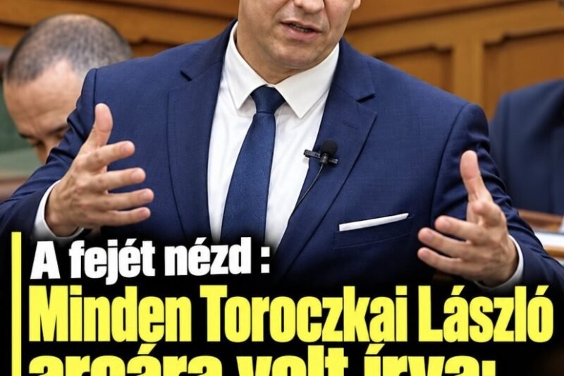 A fejét nézd : Minden Toroczkai László arcára volt írva: olyat mondott oda neki Magyar Péter, hogy mindenki csak pislogott ! – MindenegybenBlog