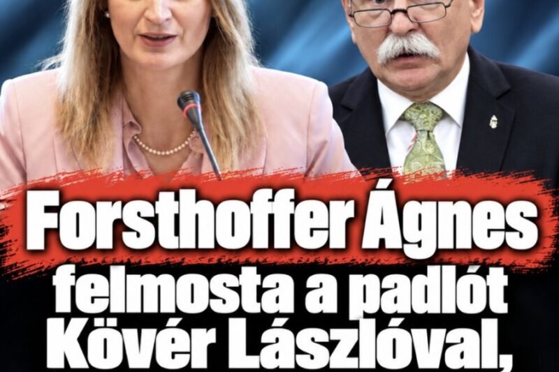 Forsthoffer Ágnes felmosta a padlót Kövér Lászlóval, úgy kiosztotta, hogy minden szava csattant! – MindenegybenBlog