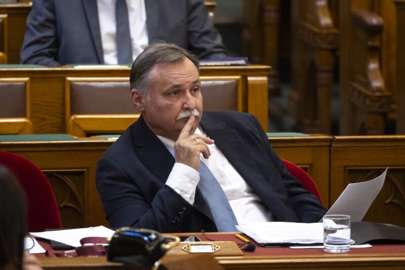 Szomorú, hogy Gajdos megadta magát, így nagyüzemileg folytatódhat a magyar erdők pusztítása